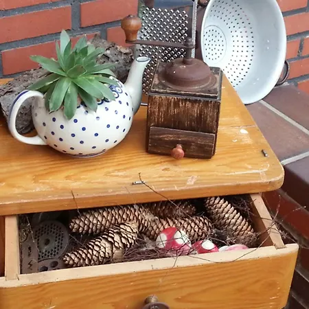 Emstal In Oberlangen Apartment Lathen