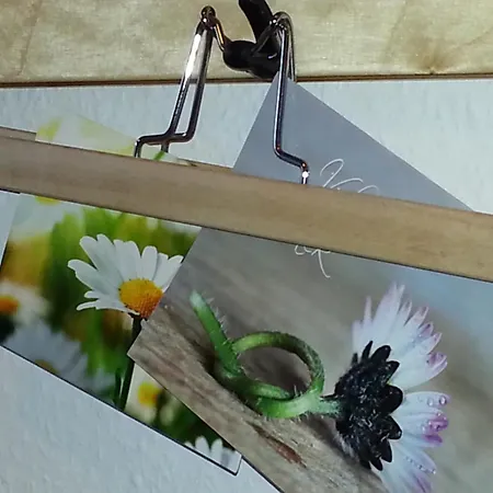 Emstal In Oberlangen