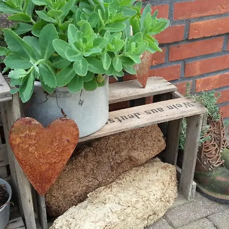 Appartement Emstal In Oberlangen *