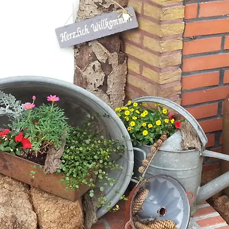 Emstal In Oberlangen Apartment Lathen