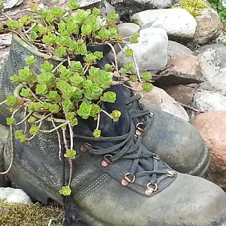 شقة Emstal Lathen