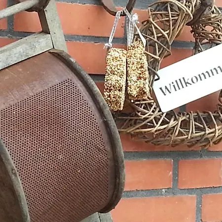 Emstal In Oberlangen * Lathen