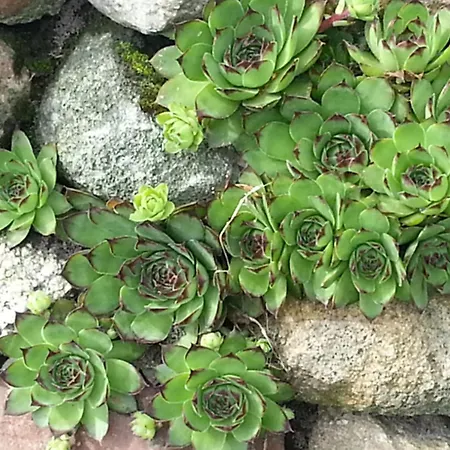 Apartment Emstal In Oberlangen Lathen