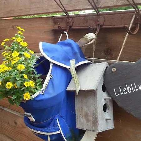 Emstal In Oberlangen Apartment Lathen