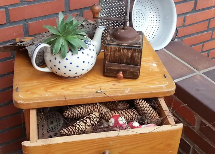 Emstal In Oberlangen Διαμέρισμα Lathen