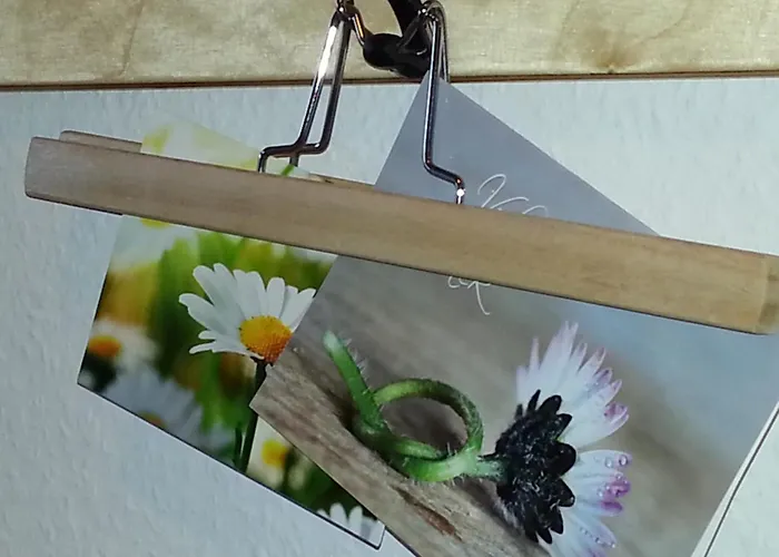 Emstal In Oberlangen