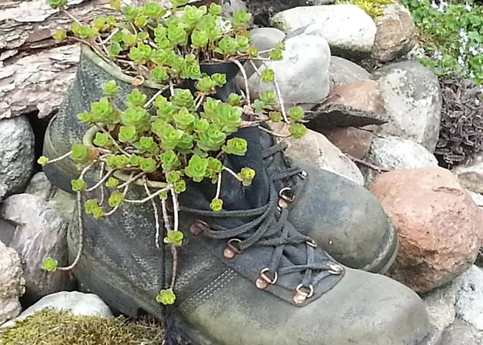 Διαμέρισμα Emstal In Oberlangen Lathen