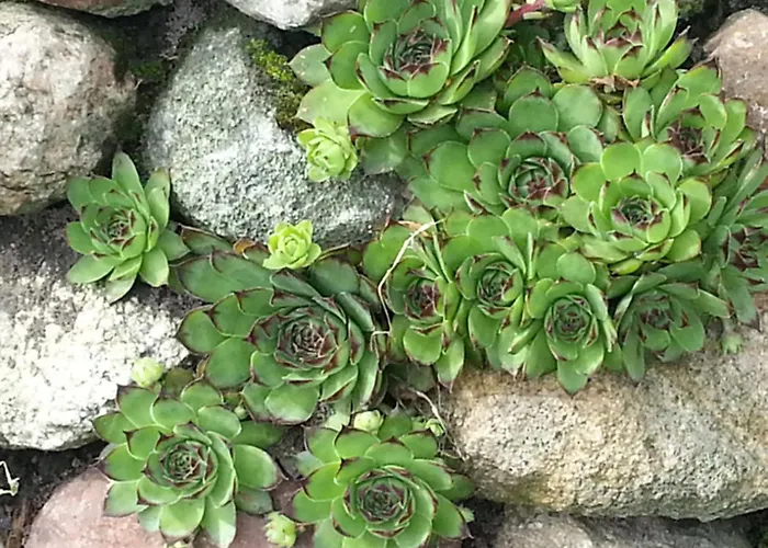 Daire Emstal In Oberlangen Lathen